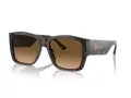 Ferrari Lunettes de Soleil FH 2003U 702/M2