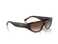 Ferrari Lunettes de Soleil FH 2004U 702/13