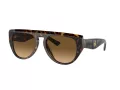 Ferrari Lunettes de Soleil FH 2005U 702/M2