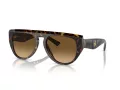 Ferrari Lunettes de Soleil FH 2005U 702/M2