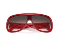 Ferrari Lunettes de Soleil FH 2006U 706/46