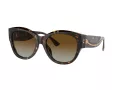 Ferrari Lunettes de Soleil FH 2008U 702/T5