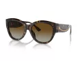 Ferrari Lunettes de Soleil FH 2008U 702/T5