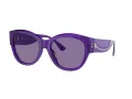 Ferrari Lunettes de Soleil FH 2008U 705/AK