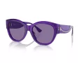 Ferrari Lunettes de Soleil FH 2008U 705/AK