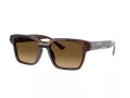 Ferrari Lunettes de Soleil FH 2011U 725/M2