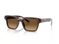 Ferrari Lunettes de Soleil FH 2011U 725/M2