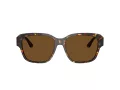 Ferrari Lunettes de Soleil FH 2016D 731/57