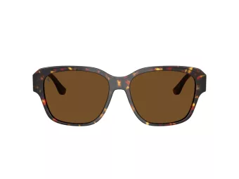 Ferrari Lunettes de Soleil FH 2016D 731/57