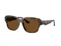 Ferrari Lunettes de Soleil FH 2016D 731/57