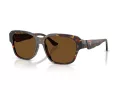 Ferrari Lunettes de Soleil FH 2016D 731/57
