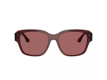 Ferrari Lunettes de Soleil FH 2016D 732/AF