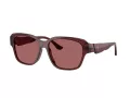 Ferrari Lunettes de Soleil FH 2016D 732/AF