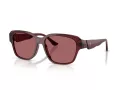 Ferrari Lunettes de Soleil FH 2016D 732/AF