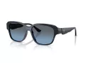 Ferrari Lunettes de Soleil FH 2016D 733/P4