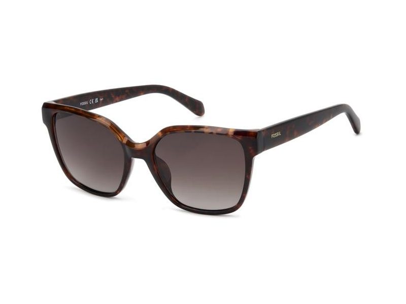 Fossil Lunettes de Soleil FOS 3170/G/S 086/HA