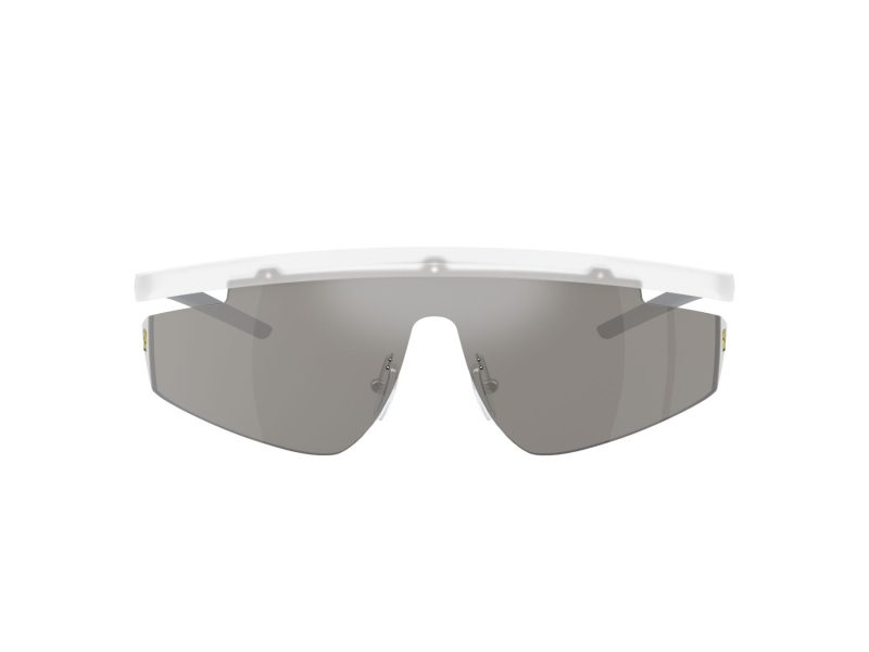 Ferrari Scuderia Lunettes de Soleil FZ 6001 505/6G