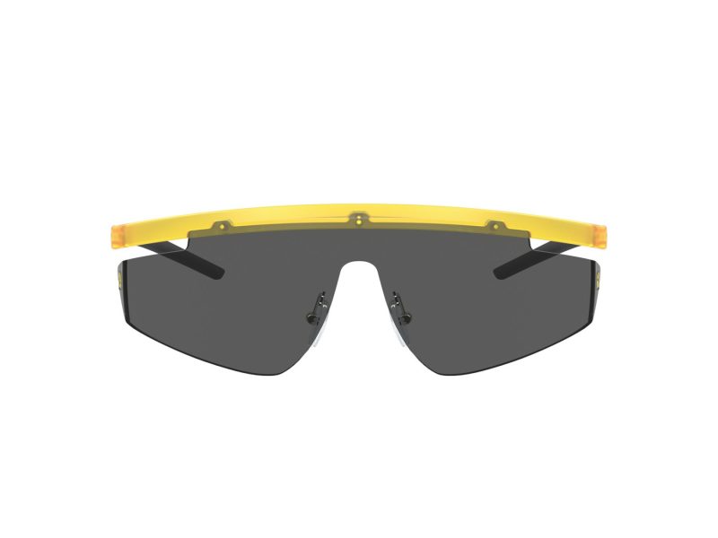 Ferrari Scuderia Lunettes de Soleil FZ 6001 507/87
