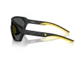 Ferrari Scuderia Lunettes de Soleil FZ 6017U 504/87