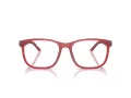 Ferrari Scuderia Lunettes de Vue FZ 8011U 519