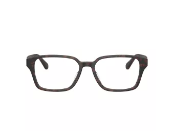 Ferrari Scuderia Lunettes de Vue FZ 8029D 763