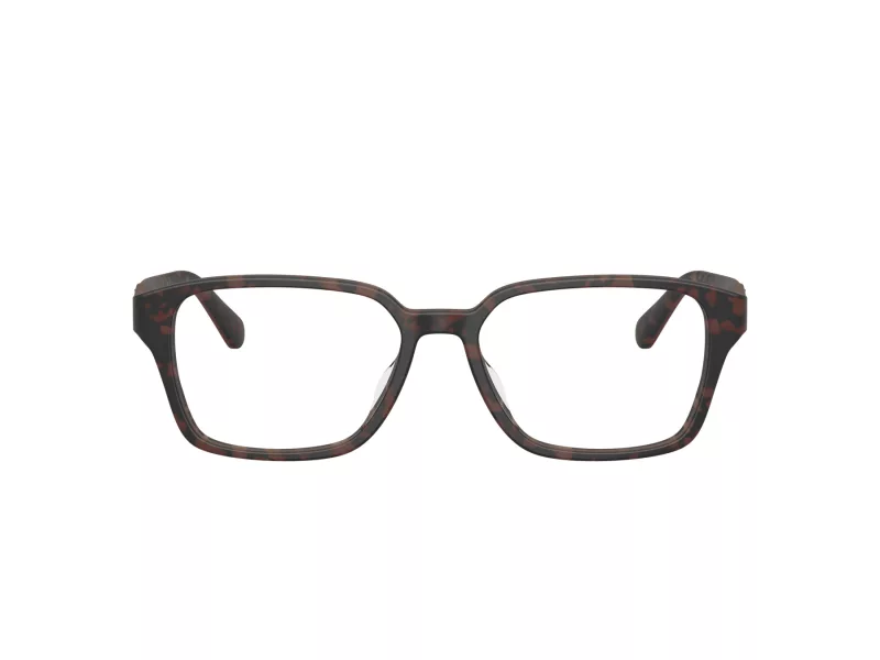 Ferrari Scuderia Lunettes de Vue FZ 8029D 763