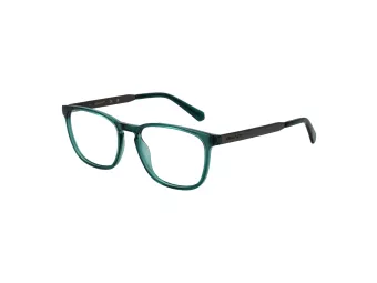 Gant Lunettes de Vue GA 3217 096