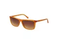 Guess Lunettes de Soleil GU 00169 44F