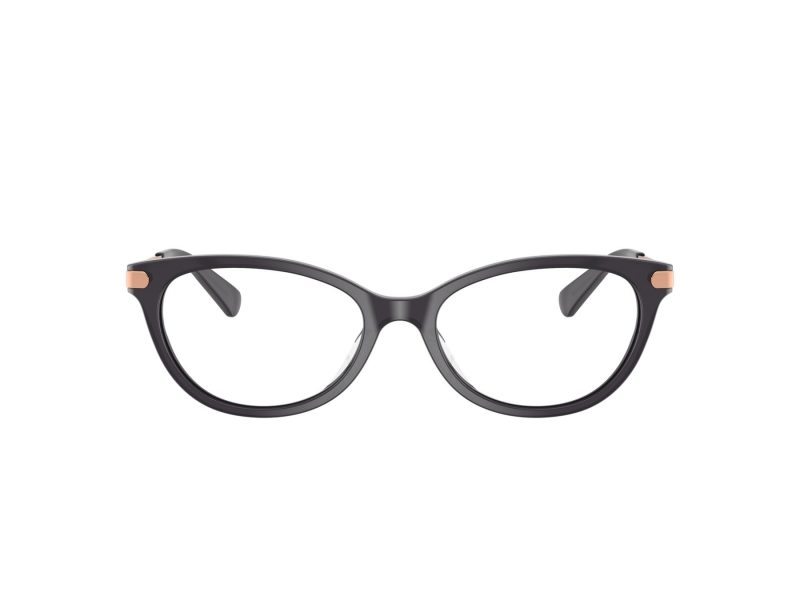 Coach Lunettes de Vue HC 6245U 5104