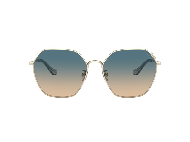 Coach C7998 Lunettes de Soleil HC 7132 900579