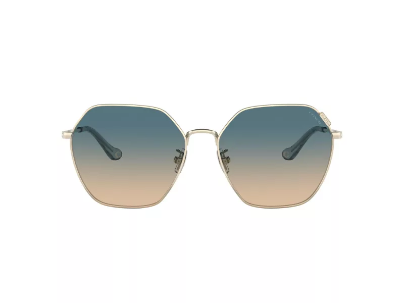 Coach C7998 Lunettes de Soleil HC 7132 900579