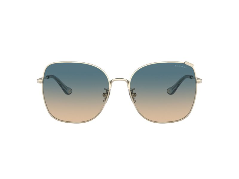 Coach C7997 Lunettes de Soleil HC 7133 900579
