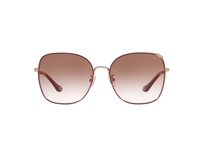 Coach C7997 Lunettes de Soleil HC 7133 94038D