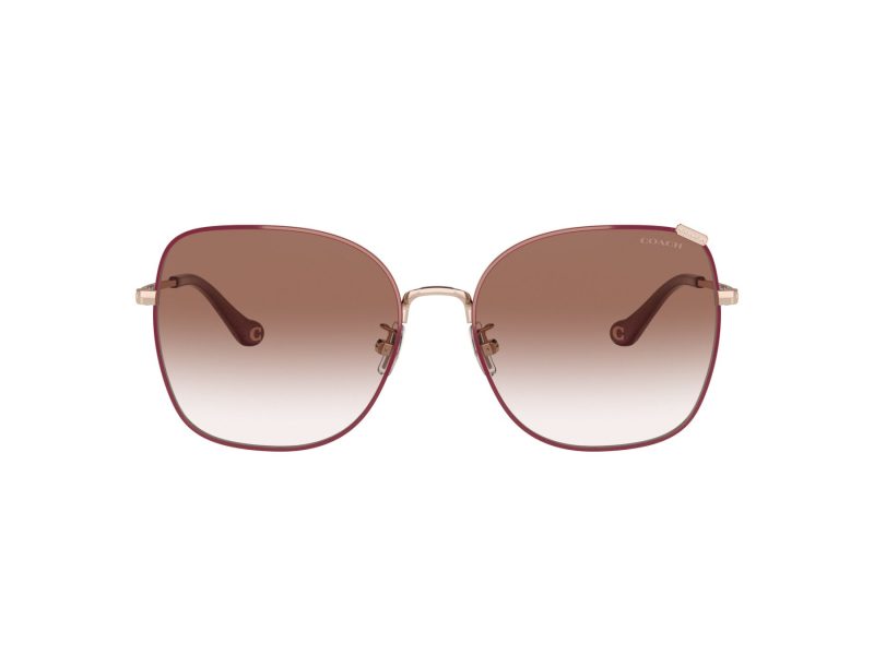 Coach C7997 Lunettes de Soleil HC 7133 94038D