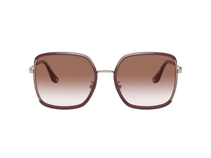 Coach C8000 Lunettes de Soleil HC 7139BD 94028D