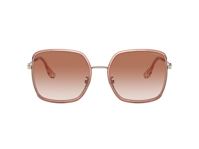 Coach C8000 Lunettes de Soleil HC 7139BD 940813