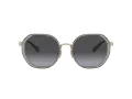 Coach Cd477 Lunettes de Soleil HC 7141 90058G