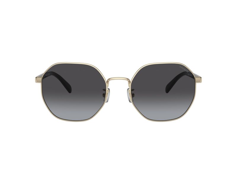 Coach Ch556 Lunettes de Soleil HC 7147 90058G