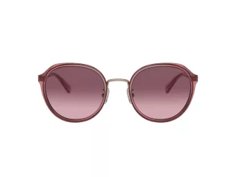 Coach Cl924 Lunettes de Soleil HC 7154 93318D