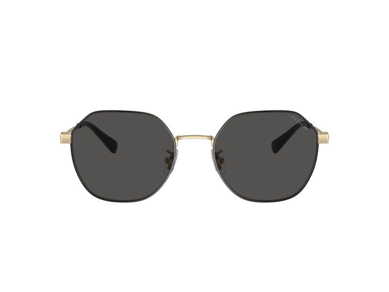 Coach Cl915 Lunettes de Soleil HC 7155 900587