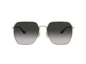 Coach Cr638 Lunettes de Soleil HC 7165D 90053C