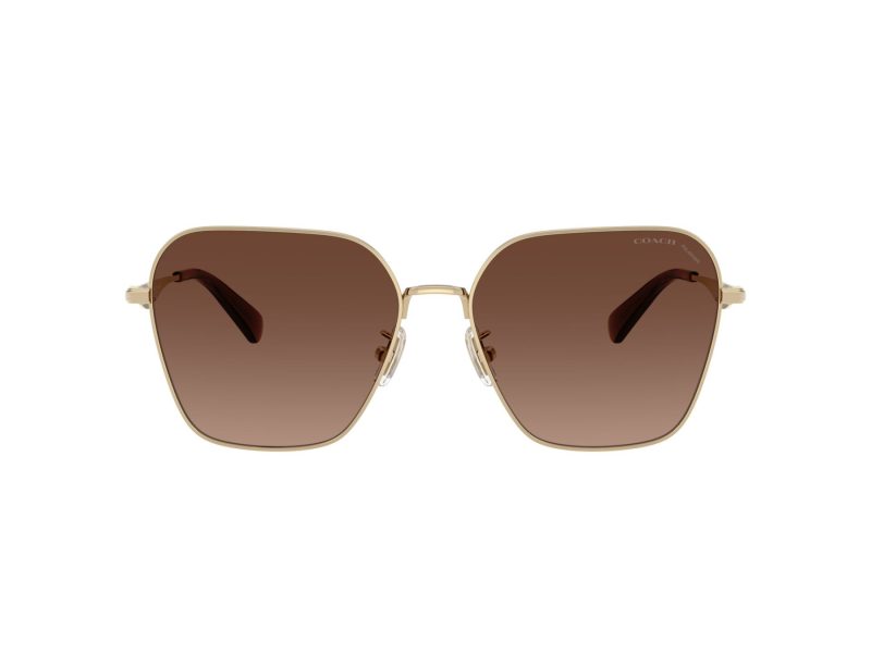 Coach Cw189 Lunettes de Soleil HC 7168 9005T5
