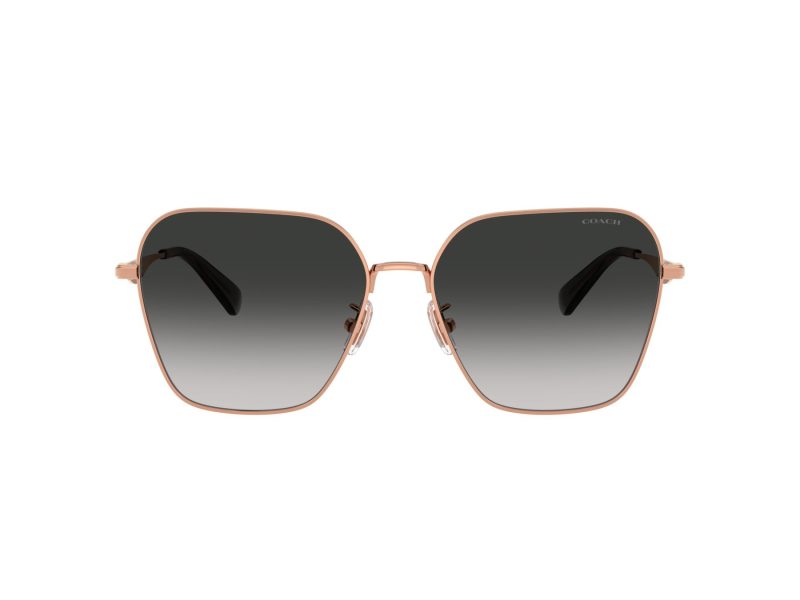 Coach Cw189 Lunettes de Soleil HC 7168 93313C