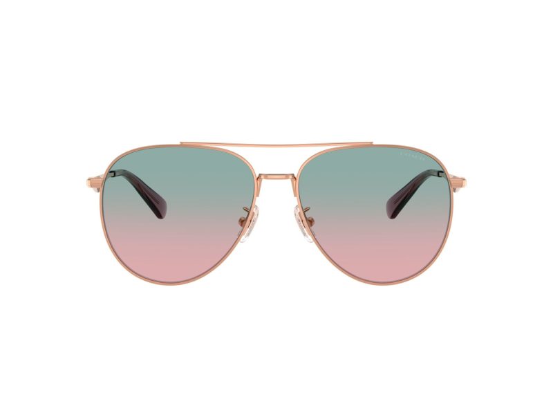 Coach Cw193 Lunettes de Soleil HC 7169 93310Q