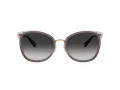 Coach Cw185 Lunettes de Soleil HC 7170 94543C