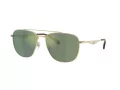 Coach Cw404 Lunettes de Soleil HC 7172 90056R