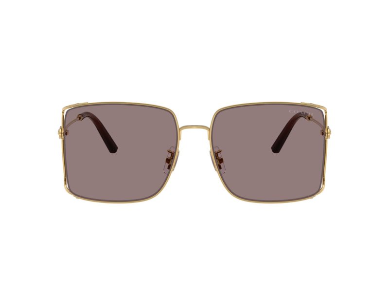 Coach Cw429 Lunettes de Soleil HC 7174D 94417N
