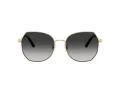 Coach Cad79 Lunettes de Soleil HC 7175 90053C