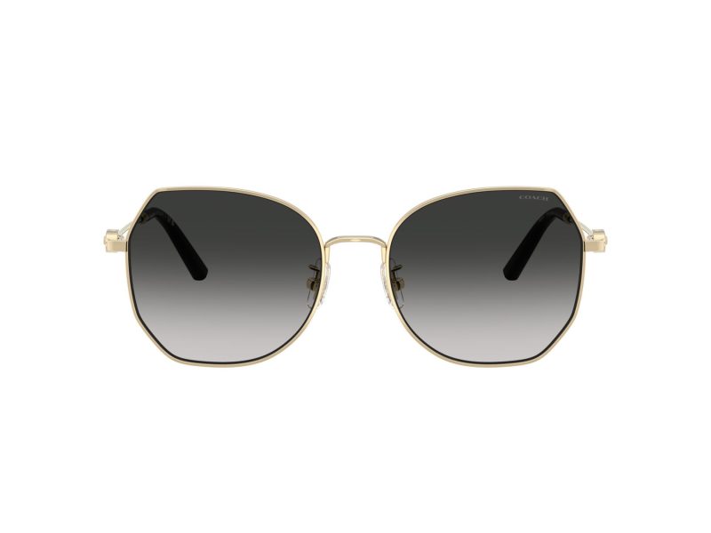 Coach Cad79 Lunettes de Soleil HC 7175 90053C