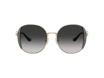 Coach Cad73 Lunettes de Soleil HC 7176B 90053C